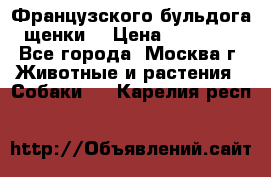 Французского бульдога щенки  › Цена ­ 35 000 - Все города, Москва г. Животные и растения » Собаки   . Карелия респ.